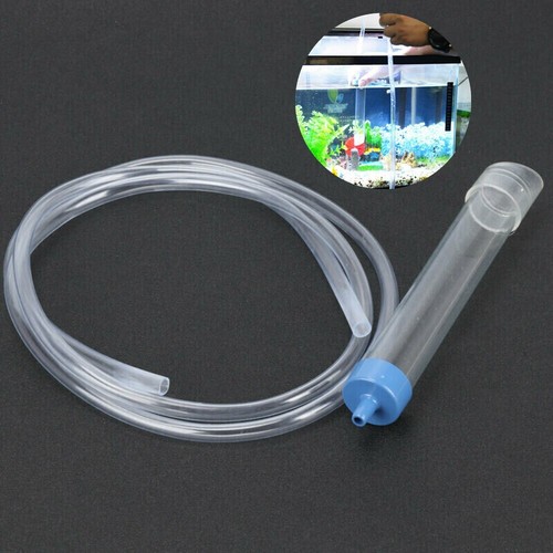 Aquarium fish tank water - fish,